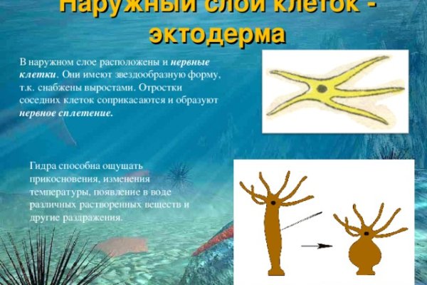 Войти даркнет